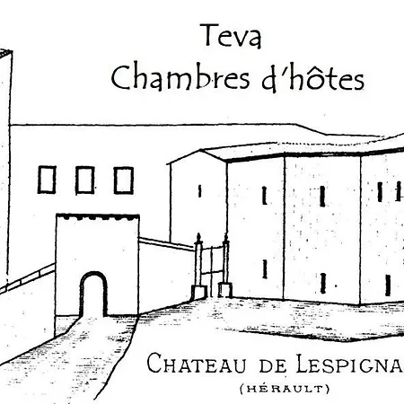 Teva